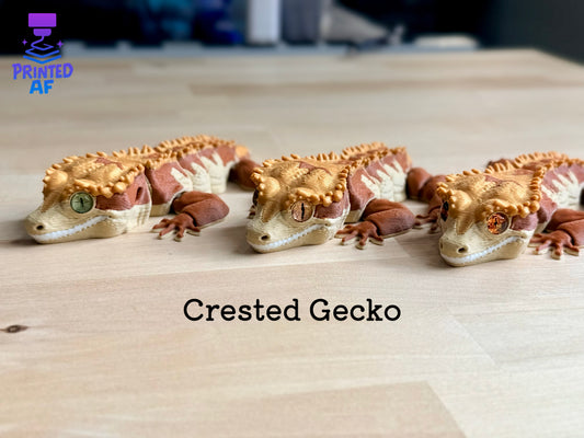 Crested Gecko