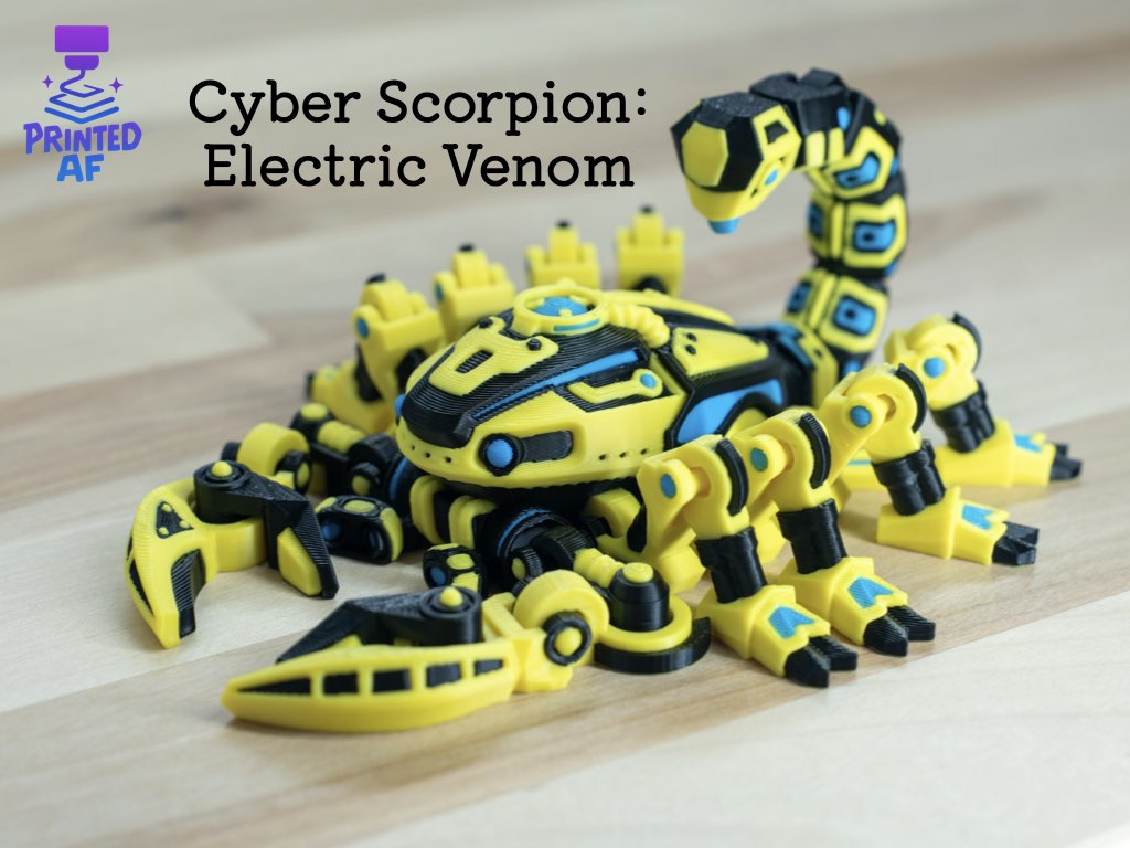 Cyber Scorpion