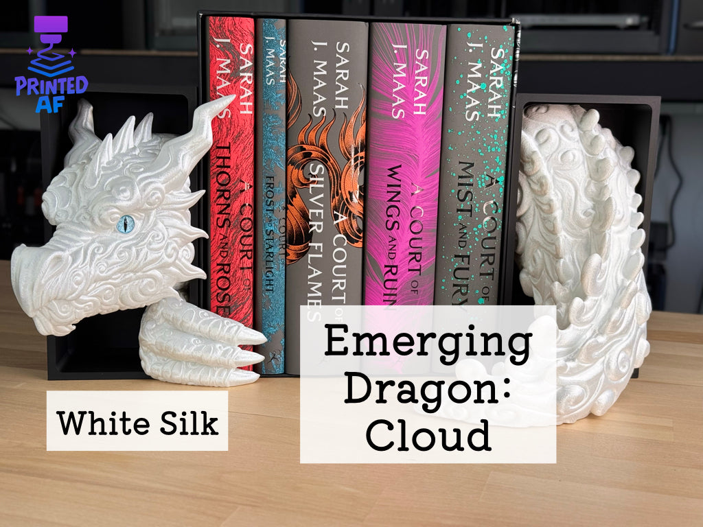 Emerging Dragon Book Nooks
