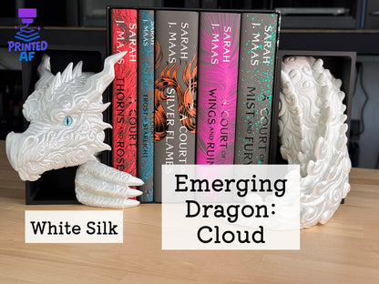 Emerging Dragon Book Nooks