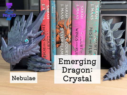 Emerging Dragon Book Nooks