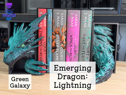 Emerging Dragon Book Nooks