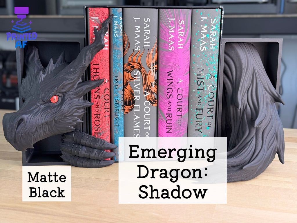 Emerging Dragon Book Nooks