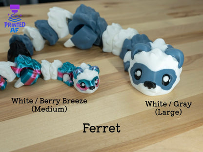Ferret