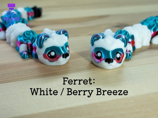 Ferret