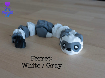 Ferret