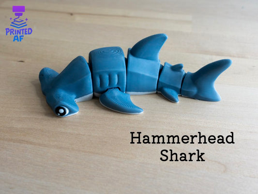 Hammerhead Shark