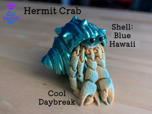 Hermit Crab