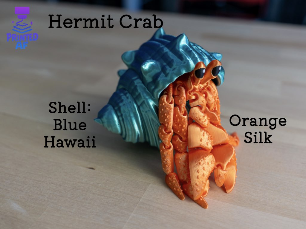 Hermit Crab