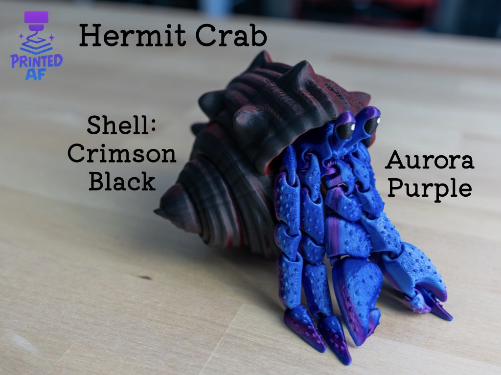 Hermit Crab