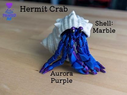 Hermit Crab