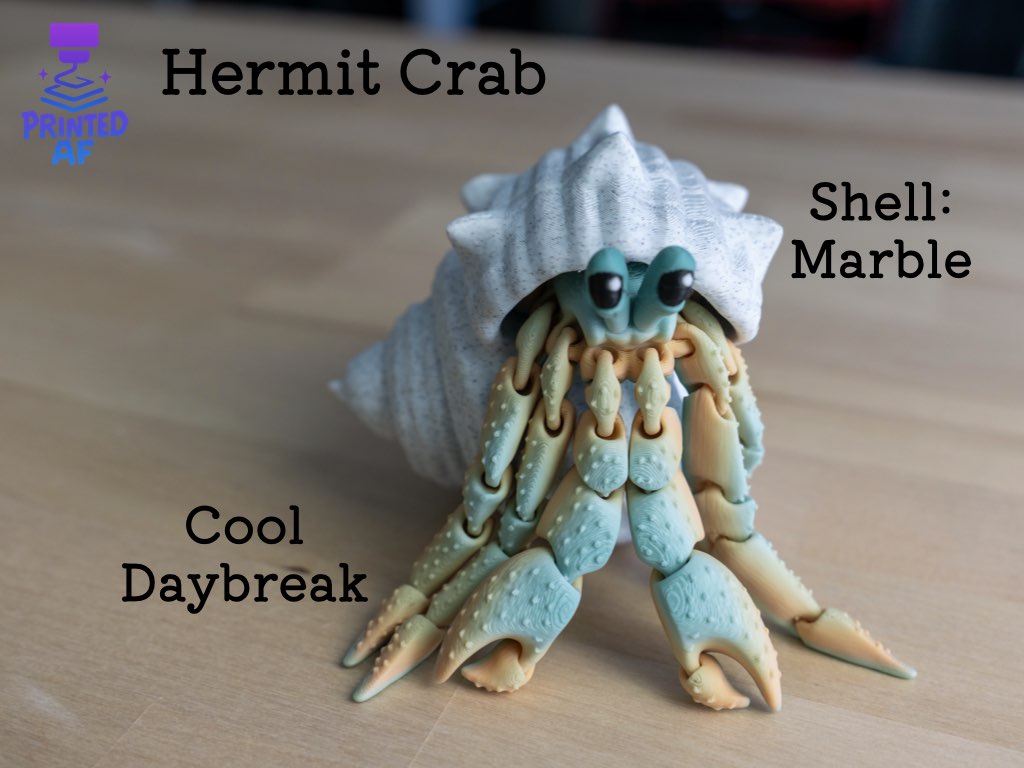 Hermit Crab