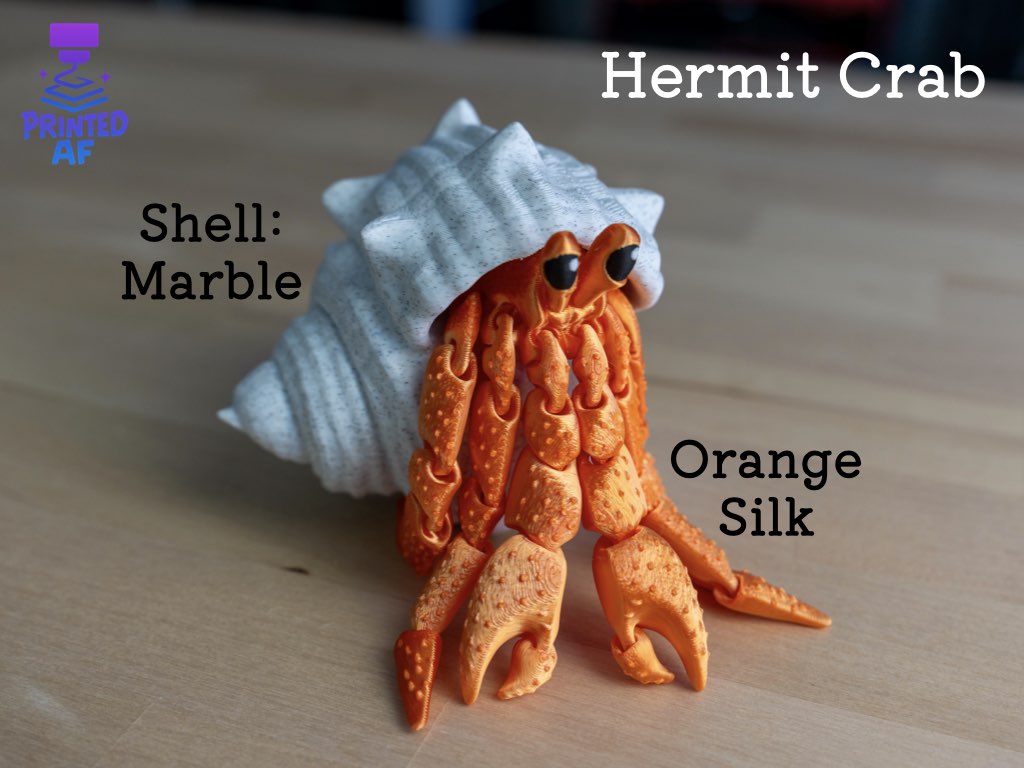 Hermit Crab