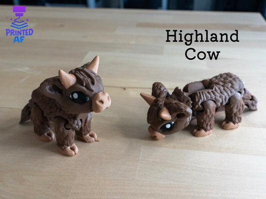 Highland Cow