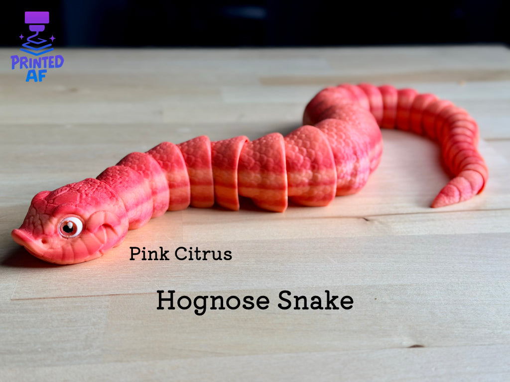 Hognose Snake