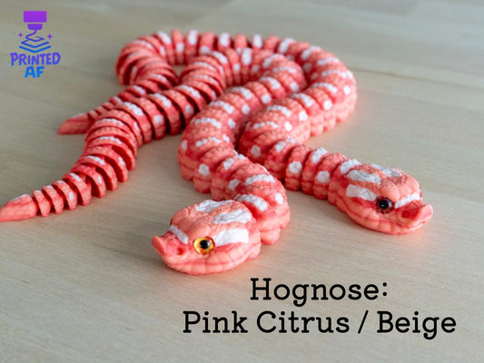 Hognose Snake