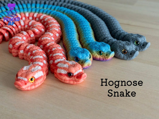 Hognose Snake