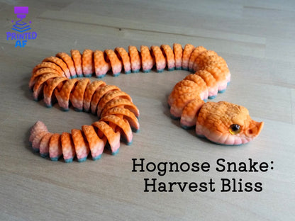Hognose Snake