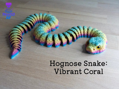 Hognose Snake