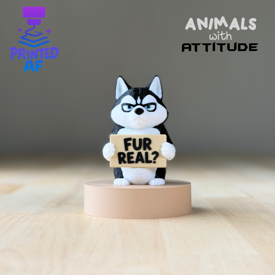 Husky Attitude