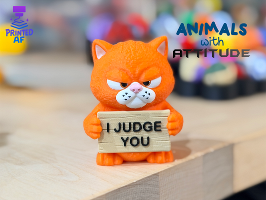 "I Judge You"