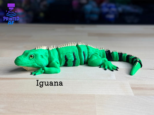 Iguana