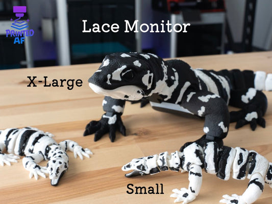 Lace Monitor