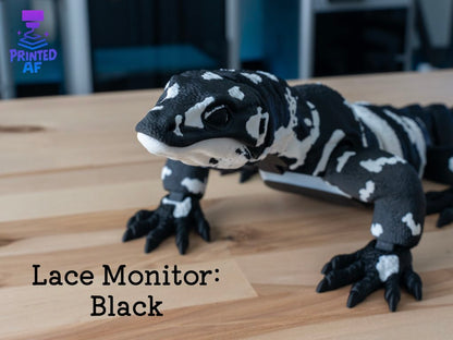 Lace Monitor