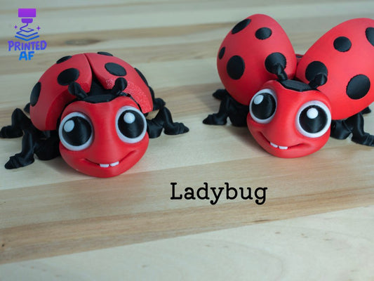 Ladybug