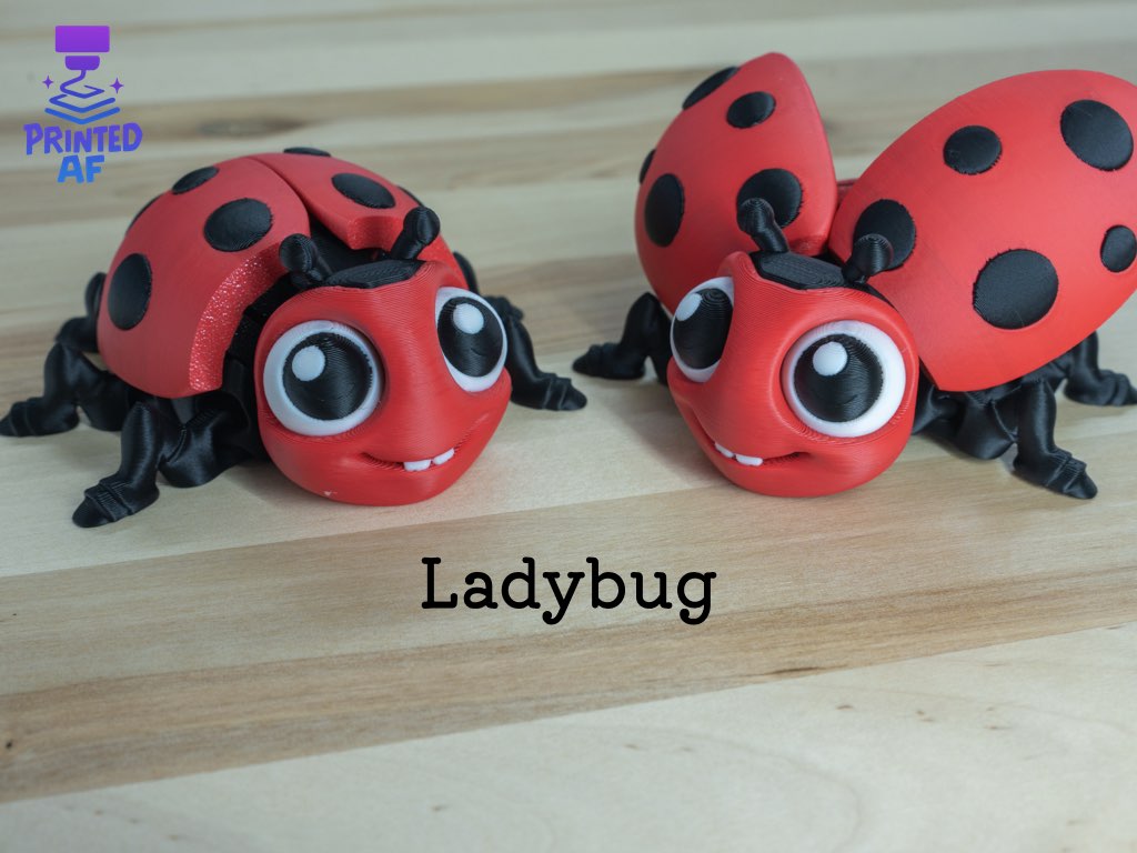 Ladybug