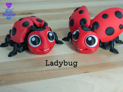 Ladybug