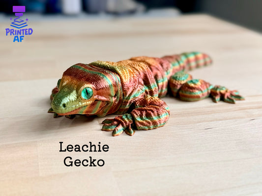 Leachie Gecko