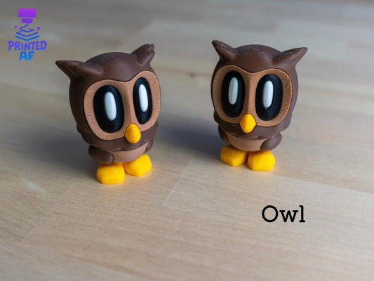 Owl