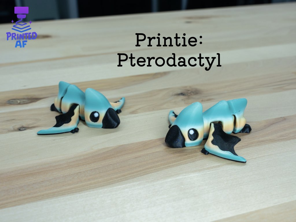 Medium Printie Pals