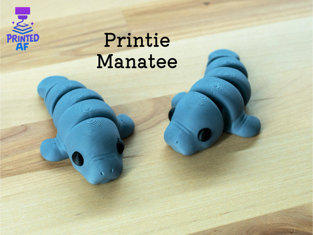 Medium Printie Pals