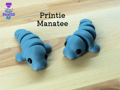 Medium Printie Pals
