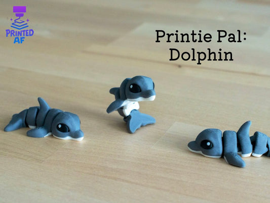 Dolphin Printie Pal