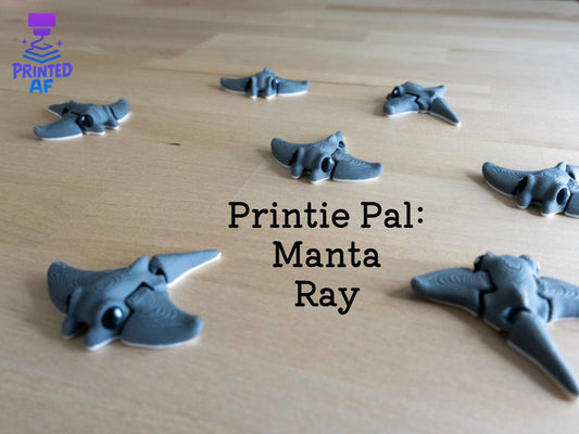 Manta Ray Printie Pal
