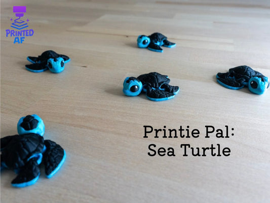 Sea Turtle Printie Pal