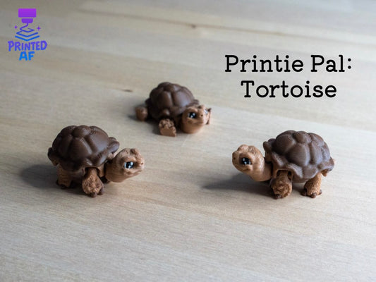 Tortoise Printie Pal