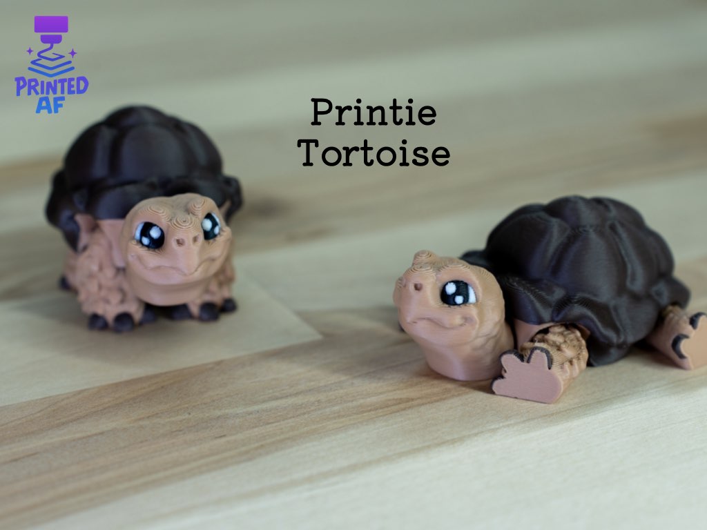Medium Printie Pals