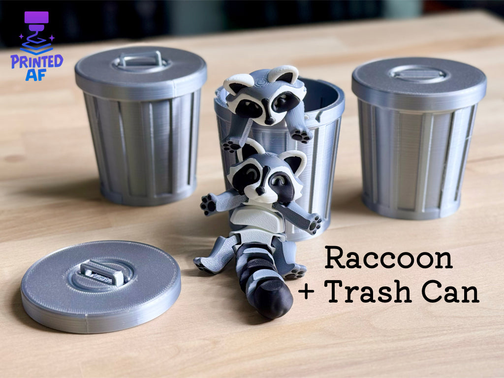 Raccoon + Trash Can