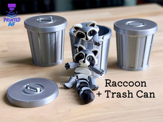 Raccoon + Trash Can