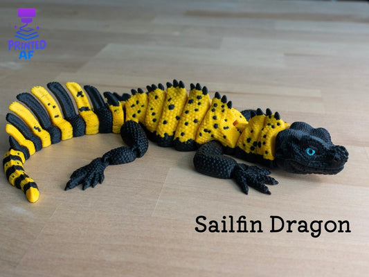 Sailfin Dragon