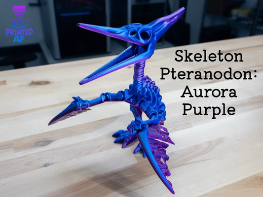 Skeleton Pteranodon