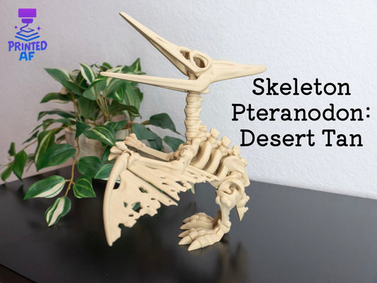 Skeleton Pteranodon
