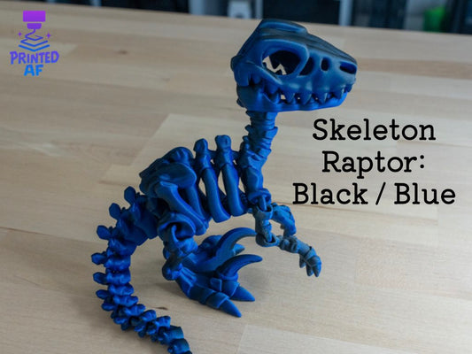 Skeleton Raptor