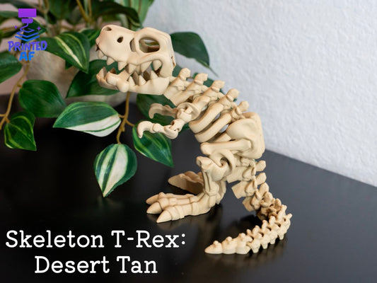Skeleton T-Rex