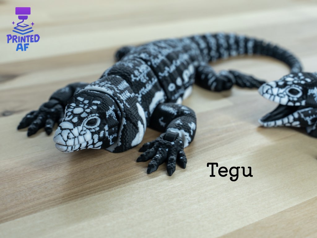 Tegu – PrintedAF