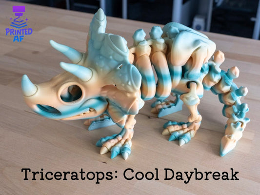 Skeleton Triceratops
